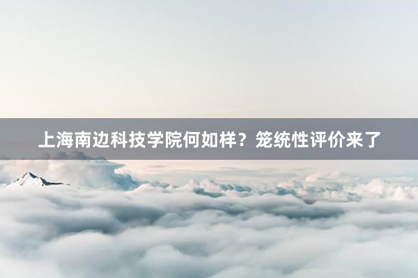 上海南边科技学院何如样？笼统性评价来了