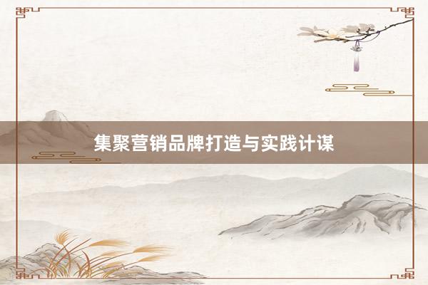 集聚营销品牌打造与实践计谋