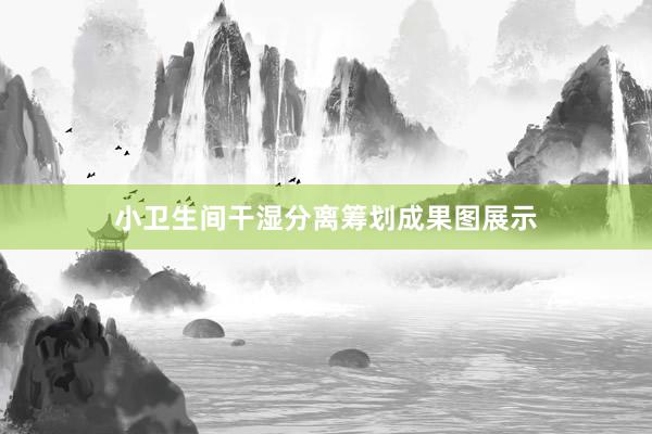 小卫生间干湿分离筹划成果图展示