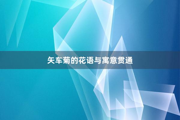 矢车菊的花语与寓意贯通